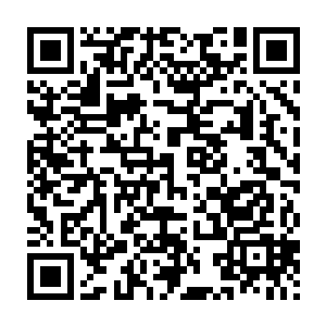 他所确信的灵月石已经被小黑猫吃掉……不知道会不会痛哭流涕呢二维码生成