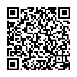 他所确信的灵月石已经被汹猫吃掉……不知道会不会痛哭流涕呢二维码生成
