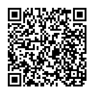 他所需要负责就是拿着律师给他的预付款去满秘鲁的收购货真价实的野生玛卡二维码生成