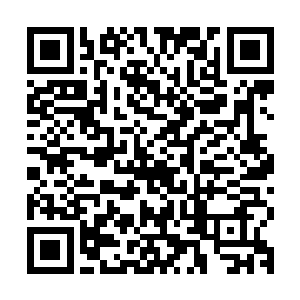 他手上的美女们占据全世界最美的一百位女明星的数量越来越多二维码生成