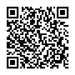 他手中巨大的黑暗战斧吞噬了破仙神弩和攻击阵法的所有攻击二维码生成
