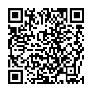 他手中掌握的周王朝的最后一枚万兽无疆碎片也被人抢走二维码生成