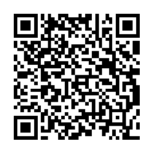 他手中的大刀也是直接和三竹教的教主的力量碰撞在一起了二维码生成