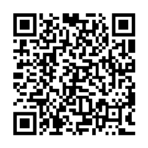 他手中的是已经被苏落易容了的十五皇子和他的母亲贵妃娘娘二维码生成
