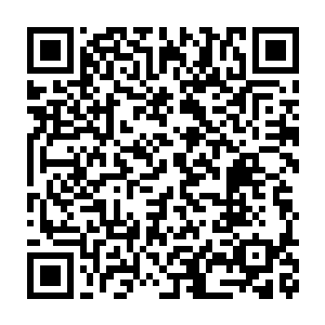 他才忽然明白自己与猕猴王密谋死守花果山是一个多么愚蠢的决定二维码生成