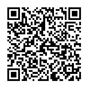 他才慢悠悠的把视线落回到一直用着愤怒又惊诧的眼神看他的许博年身上二维码生成