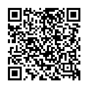 他才确定汪一一和汪延的那种奇怪的关系不但没有减弱她的作用二维码生成