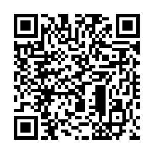 他才觉得……熊吉那无厘头的行为模式还是有点儿作用的二维码生成