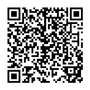 他打碎的不过是秦方的残影而已……真正的秦方早已经从原地避开了二维码生成