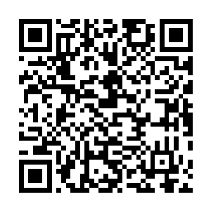 他打算借此机会把大使馆和大使的概念普及到整个东大陆二维码生成