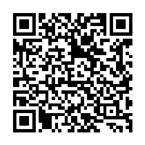 他把吕文秀近期为他准备的多份资料和文件都一一浏览了一遍二维码生成