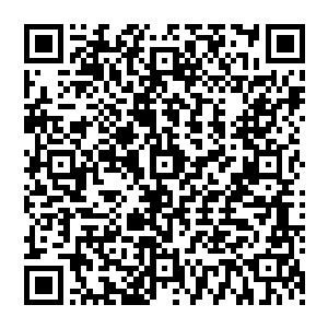 他把牙齿咬的咯吱吱作响的看着城下那些忠于自己的交趾军卒前赴后继的倒在弩箭和火药弹之下二维码生成