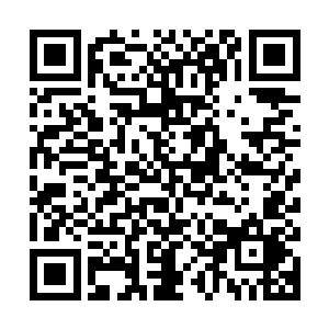 他把自己身上的无痕螺丝钉是什么牌子什么型号的都介绍了一遍二维码生成