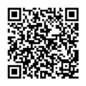 他把龙息主力拉走不让他们帮助秦洛的意图却表现的很明显了二维码生成