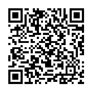 他拨开地面上厚厚的树叶然后从里面抓出来了一根长长的锁链二维码生成