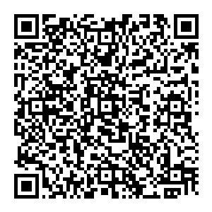 他挥动大手　那粗大的铁链在空旷的世界中因为撞击而顿时传來一阵阵的轰鸣　紧接着狂风呼啸　那是他在快速的缩小二维码生成