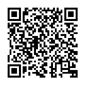 他提携林铭就是存了让林铭在总宗会武上取得亮眼成绩的心思二维码生成