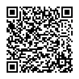 他旁边一个和他长得很像的年轻人却连忙对着他的耳朵嘀咕了几句二维码生成