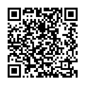 他无数个夜晚像是最忠诚的情人一般守护在女友的闺房外面――二维码生成