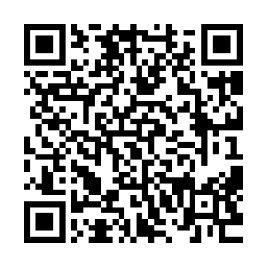 他无法理解江帆所说的符咒世界三天抵得上外面几百年的意思二维码生成