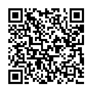 他无论如何也无法将面前的钱其强和矮矮胖胖的企鹅联系到一起二维码生成