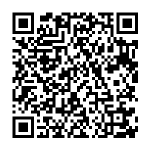 他早上特意让山和雕去跟猎表明那用木枝固定断骨的方法乃是盐默所教二维码生成