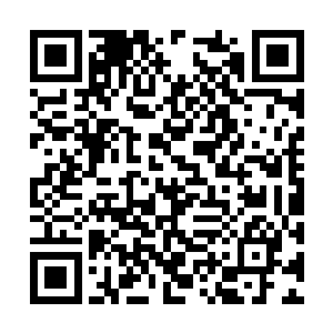 他早就不是可以在张潇晗怀里肆意打滚的小松鼠了二维码生成