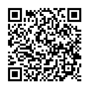 他早就对秦方下手了……又怎么可能会如此客客气气的商量呢二维码生成