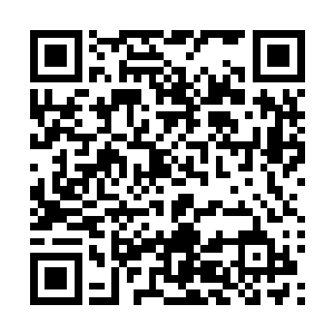 他明白自己反抗和不反抗对方对自己的用刑手段都是一样的二维码生成