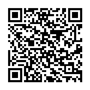 他明面上便故意同宋氏提了几句听闻宋舒砚品行俱佳二维码生成