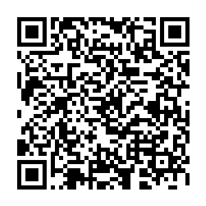 他昨晚看到他心仪的生命之子和那个丑陋野蛮的无角人首领睡到一块去啦二维码生成