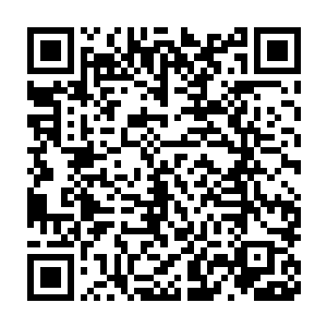 他是处于重创的半昏迷状态下完成的掠夺吞噬妖星命格的这个过程二维码生成