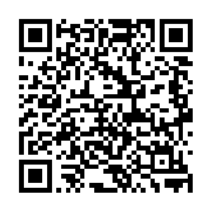 他是炼药师……对气息最为敏感最为准确的炼药师二维码生成