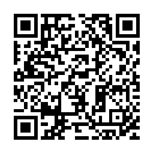 他是看着代离在短短几个月内从分神不到的实力逆袭到剑君级的二维码生成