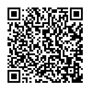 他更气的是大红从灵界过来追击大｛vjj却一直没有跟我们说大｛vjj是什么样的二维码生成