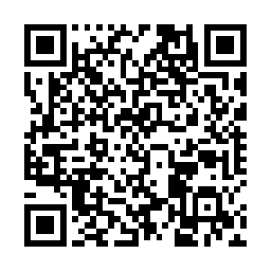 他曾经斗鸡走狗的弟弟已经长成了可以独当一面的人才二维码生成