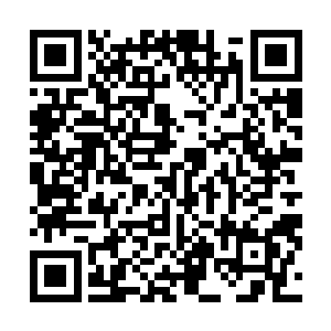 他最多起的作用就是妨碍其他蚀骨之鳄对华夏战士的攻击二维码生成