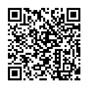 他来回两次攻击因为力量达到了界力之花无法完全避开的程度二维码生成