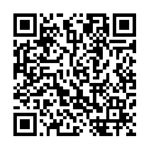 他根本就不懂自己在这段时间里到底经受了多少内心的折磨二维码生成