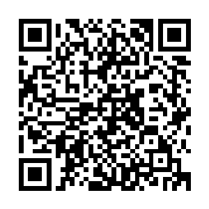 他根本就打不动这个已经和陈诚一样已经升到满级18级的贾克斯二维码生成