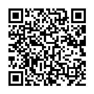 他根本那就舍不得伤害我……他虽然从小生活在那样的环境里面二维码生成