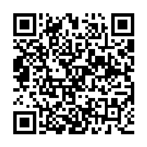 他正在一步一步的转化为阿修罗……修罗族中的精锐强者阿修罗二维码生成