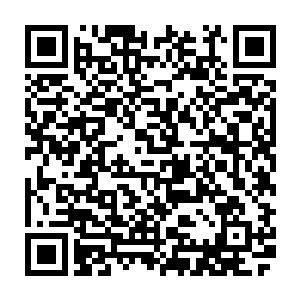 他正打算继续这么干下去的时候――陈小练忽然听见了商店里传来一声尖叫二维码生成