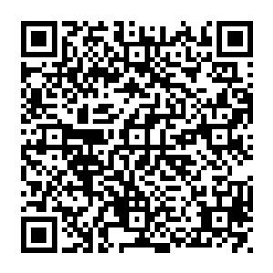他正通过斯卡兰部落的传统语言与秦铮荣体内的部落祭司古尔赫建立起沟通与交流二维码生成