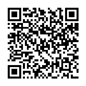 他此生最为敬佩的人便是寻宝门那一位神秘的门主二维码生成