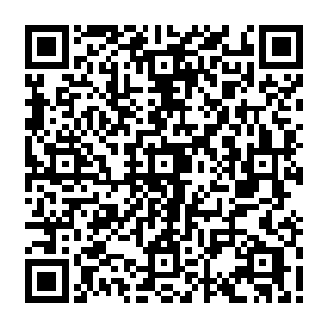 他毕竟是你的弟弟啊……打他的那个人是那个废物吧……他怎么会变的那么的强大二维码生成