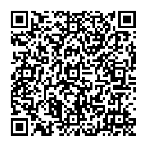 他毫不犹豫　再次将月精轮祭出　飞舞之间　垂下万到光辉将其护住　成为他最后的保护壁障二维码生成