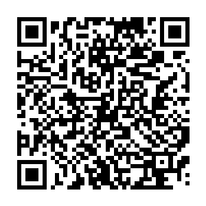 他永远都不会忘记当初他和君悦臣闹翻脸的时候林哲瀚是怎么骂自己蠢的二维码生成