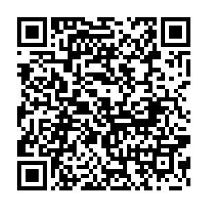 他没想到代离初来乍到还没过一分钟就挑到了一条如此不错的仙根二维码生成