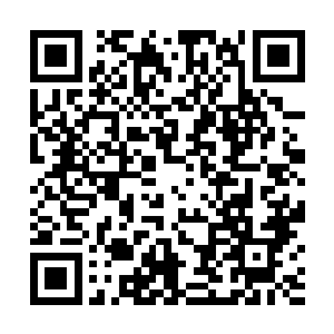 他没想到当初无奈随便抱的一棵救命稻草原本不是稻草二维码生成